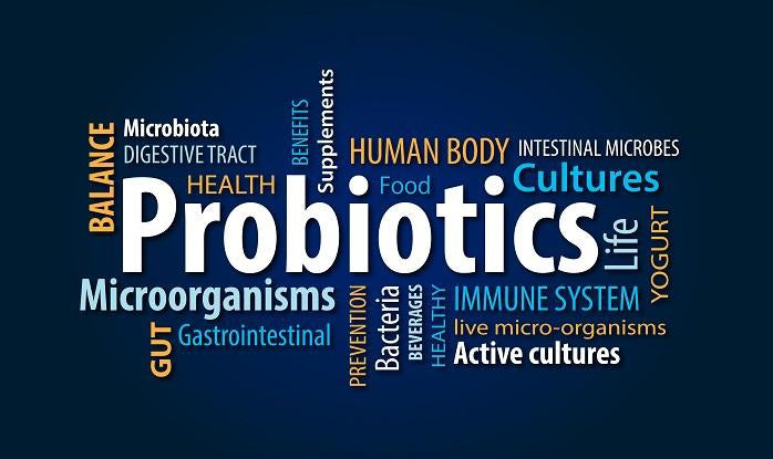 A Guide to Vegan Probiotics Supplements-sho Nutrition LLC