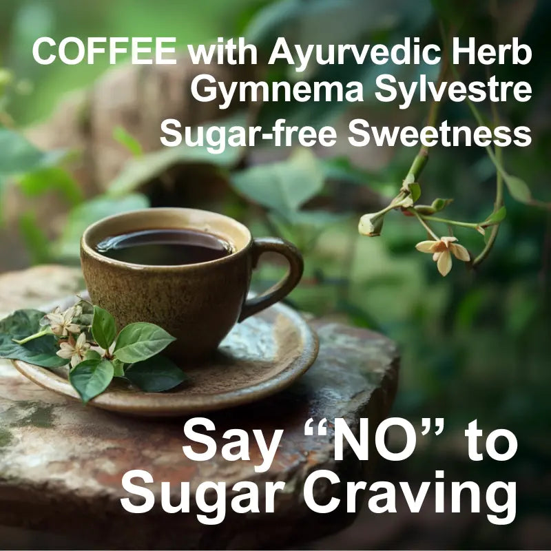 Tokyo Diet Coffee, Chocolate & Vanilla Flavored Drip Coffee Bags with Gymnema Sylvestre, Sugar-Free, 7 Packs - sho Nutrition LLC